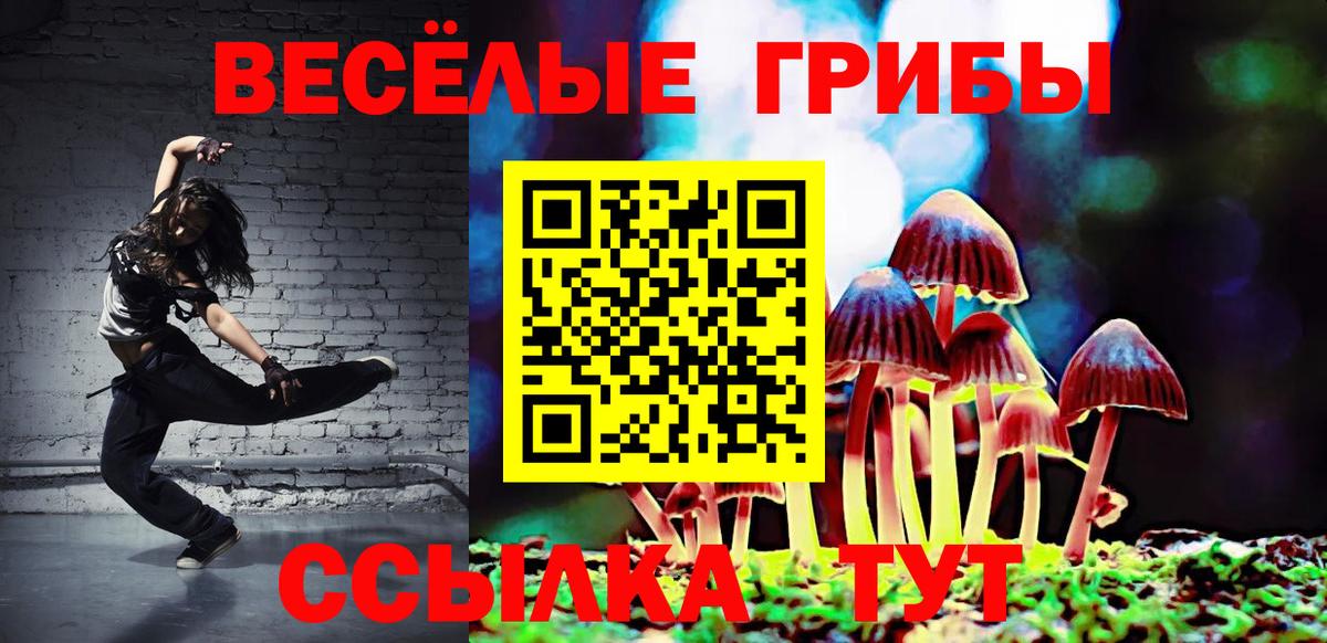 Псилоцибиновые грибы GOLDEN TEACHER Людиново
